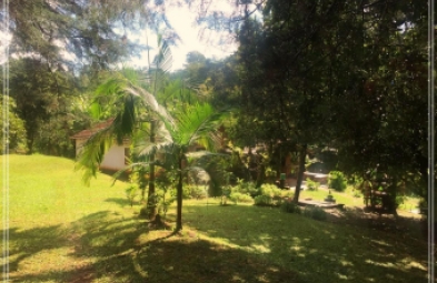Sítio para venda em Avaré